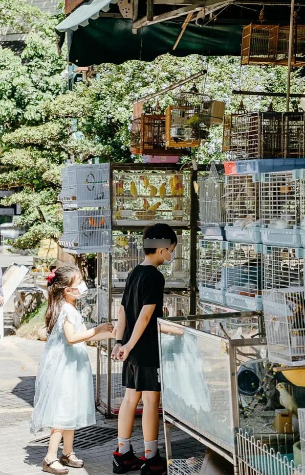 10个深圳花市，母亲节送花，不如带妈妈去看花海