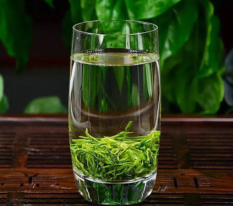 大明山有机绿茶,弱水三千只取一杯茶