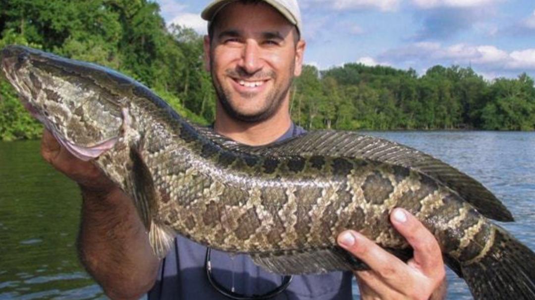 <html>
<head><title>502BadGateway</title></head>
<body>
<center><h1>502BadGateway</h1></center>
<hr><center>nginx</center>
</body>
</html>
<!--apaddingtodisableMSIEandChromefriendlyerrorpage-->
<!--apaddingtodisableMSIEandChromefriendlyerrorpage-->
<!--apaddingtodisableMSIEandChromefriendlyerrorpage-->
<!--apaddingtodisableMSIEandChromefriendlyerrorpage-->
<!--apaddingtodisableMSIEandChromefriendlyerrorpage-->
<!--apaddingtodisableMSIEandChromefriendlyerrorpage-->
