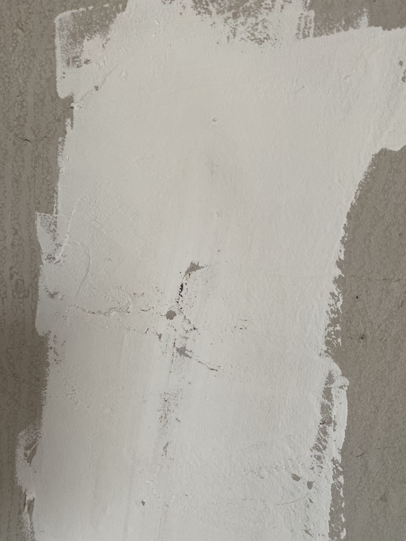 2021年十大品牌乳胶漆排行榜,2024年选什么品牌乳胶漆好