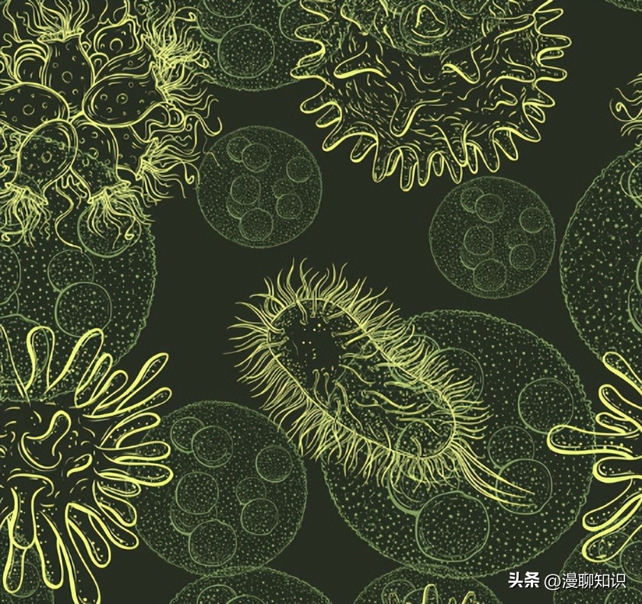 马疱疹病毒感染用什么治疗好,马病毒性疱疹