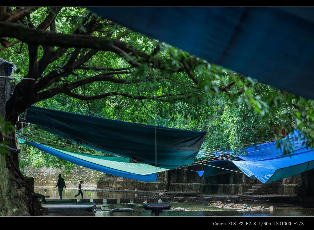 有必要升级佳能R3吗？详细为你分析R3摄影及视频性能