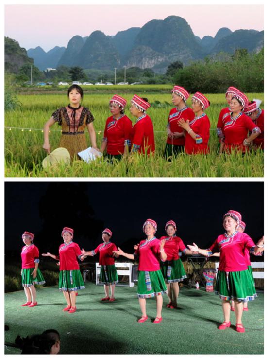 漓江边的“水淹田”,不仅是“稻坚强”,竟还传出天籁之音