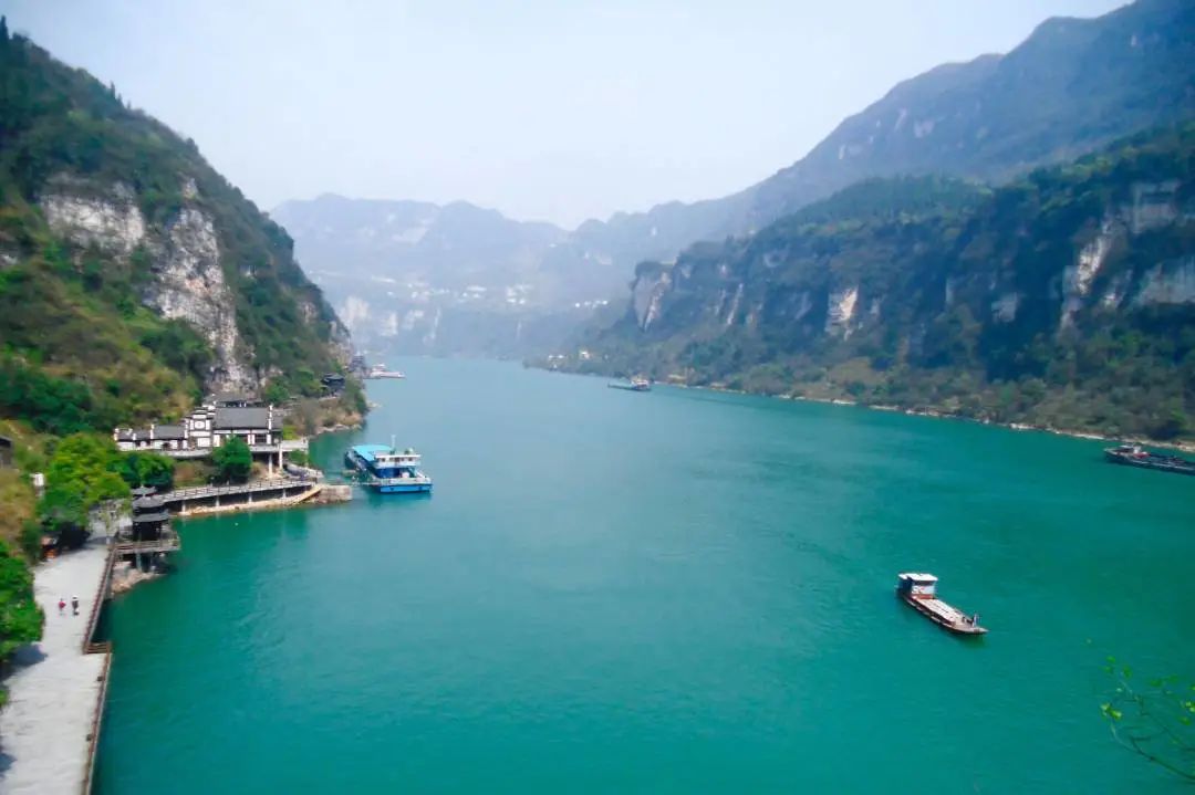 湖北有哪些红茶,湖北最受欢迎红茶