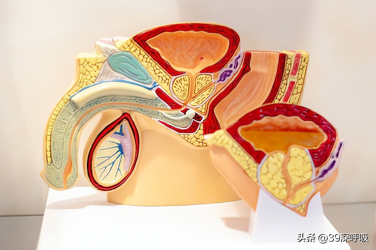 *丸睾**变小、性欲减退，“阳康”后男性不行了？权威医生解读来了