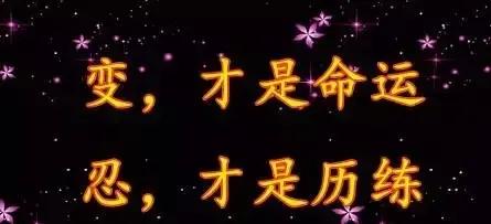 2023年02月27日星期一农历:癸卯年【兔年】二月初八八九第5天