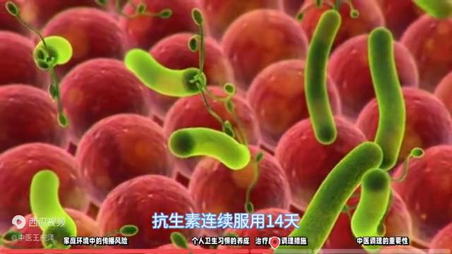 幽门螺旋杆菌四联疗法14天后复发,幽门螺杆菌好了又复发了怎么根治