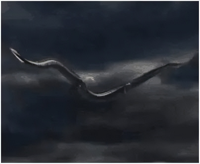 江苏射阳30米巨蟒,江苏射阳出现巨蟒了吗