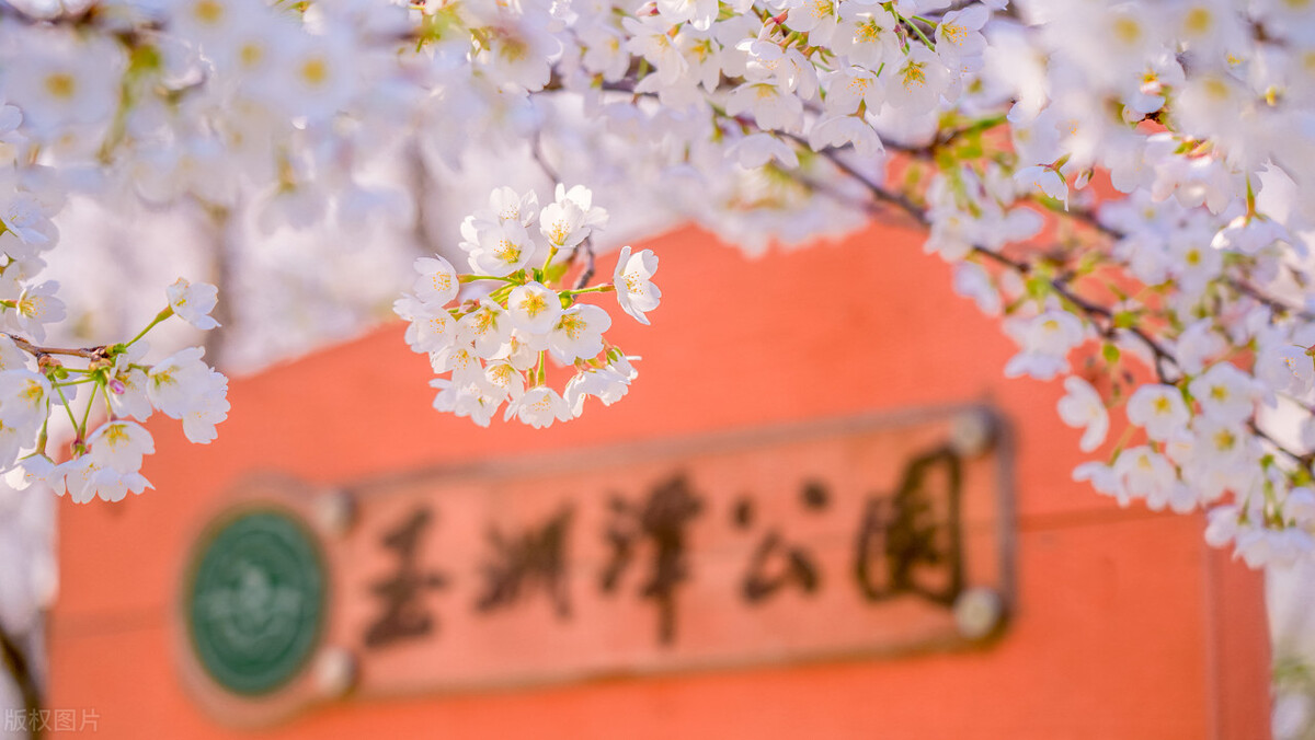 北京市公园游览年票怎么激活,2024北京市公园游览年票发售