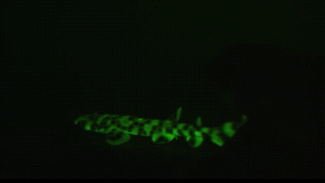 潜入深海寻找宝藏,潜入海底最深处你会发现什么