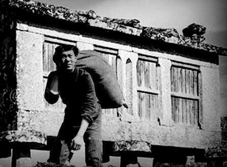 知青轶事,耿明知青轶事