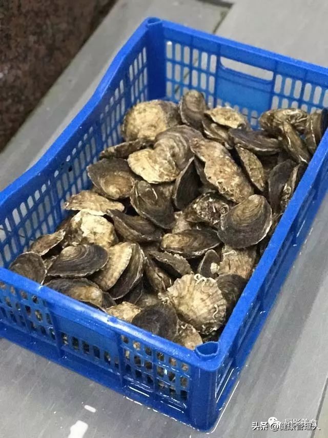 世界十大顶级海鲜食材有哪些品种,海鲜贝类品种大全及名字