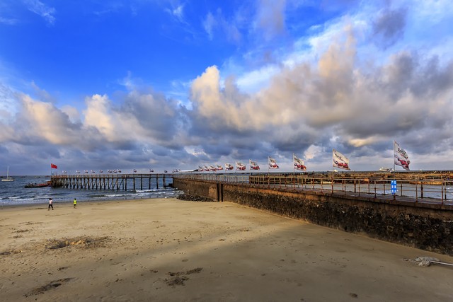 要成为北部湾的领头羊，你就奔跑吧！