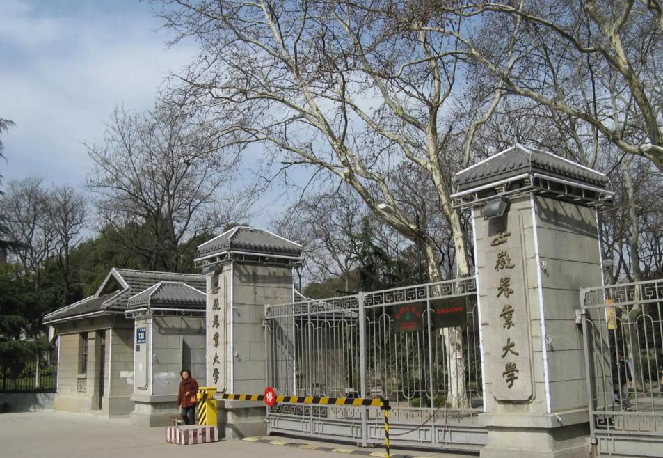 中国烟草最认可的大学,中国烟草最认可的六所大学