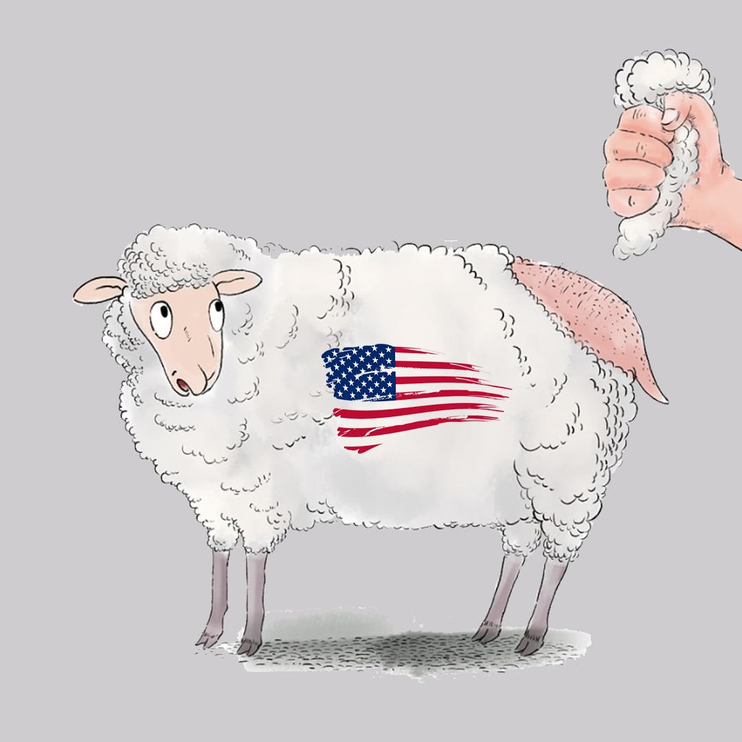 如何薅美国的羊毛？这份攻略，让美国被世界薅了十年