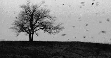 嘉峪关沙尘天气频繁吗,嘉峪关沙尘过后图片