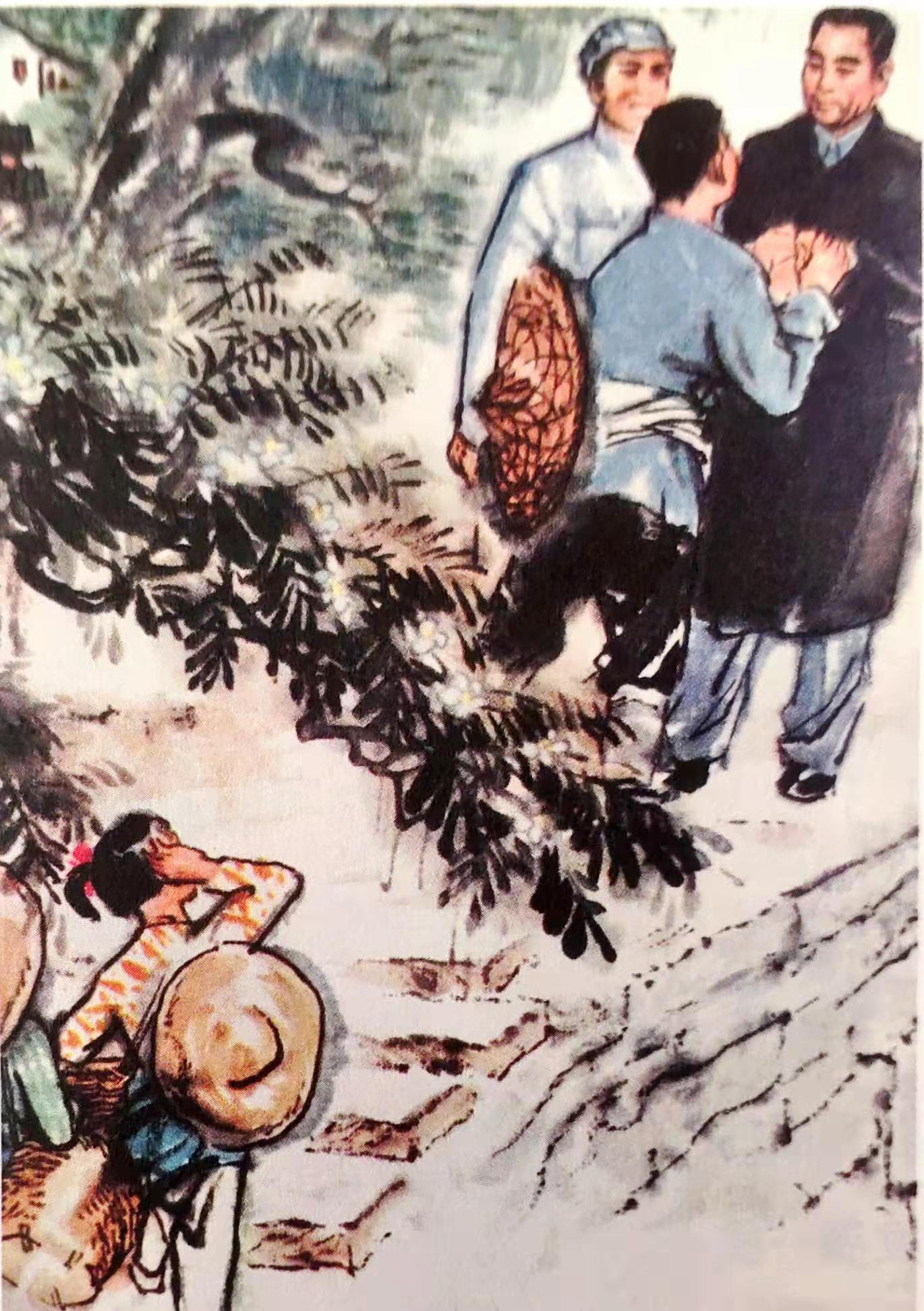 杭州红色故事：周总理心系茶生产