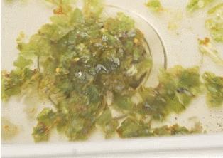 下水道堵了疏通小妙招如何解决,下水道堵倒开水