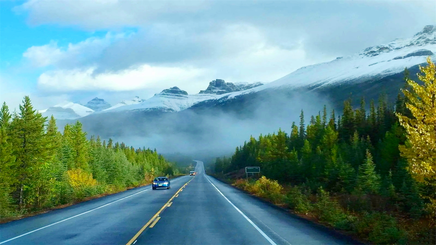 一杯茶一份淡雅的情怀,一杯雅茶