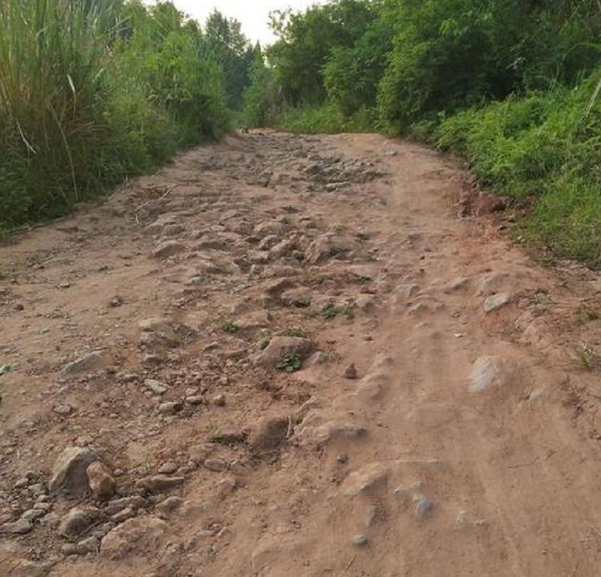 多户居民家中被盗案例,居民家600余万现金被盗