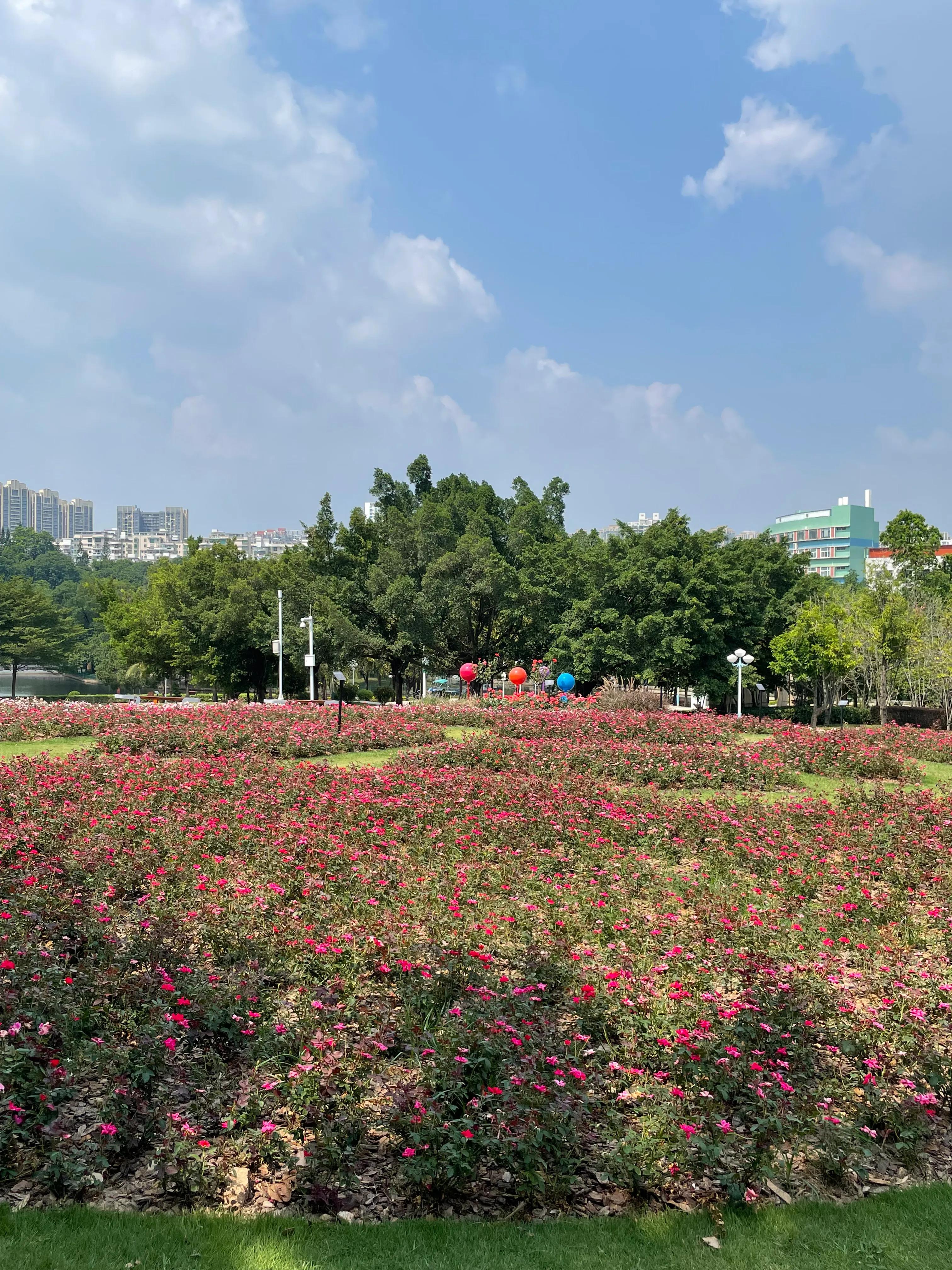 龙岗五联郊野公园,深圳市龙岗区双龙公园