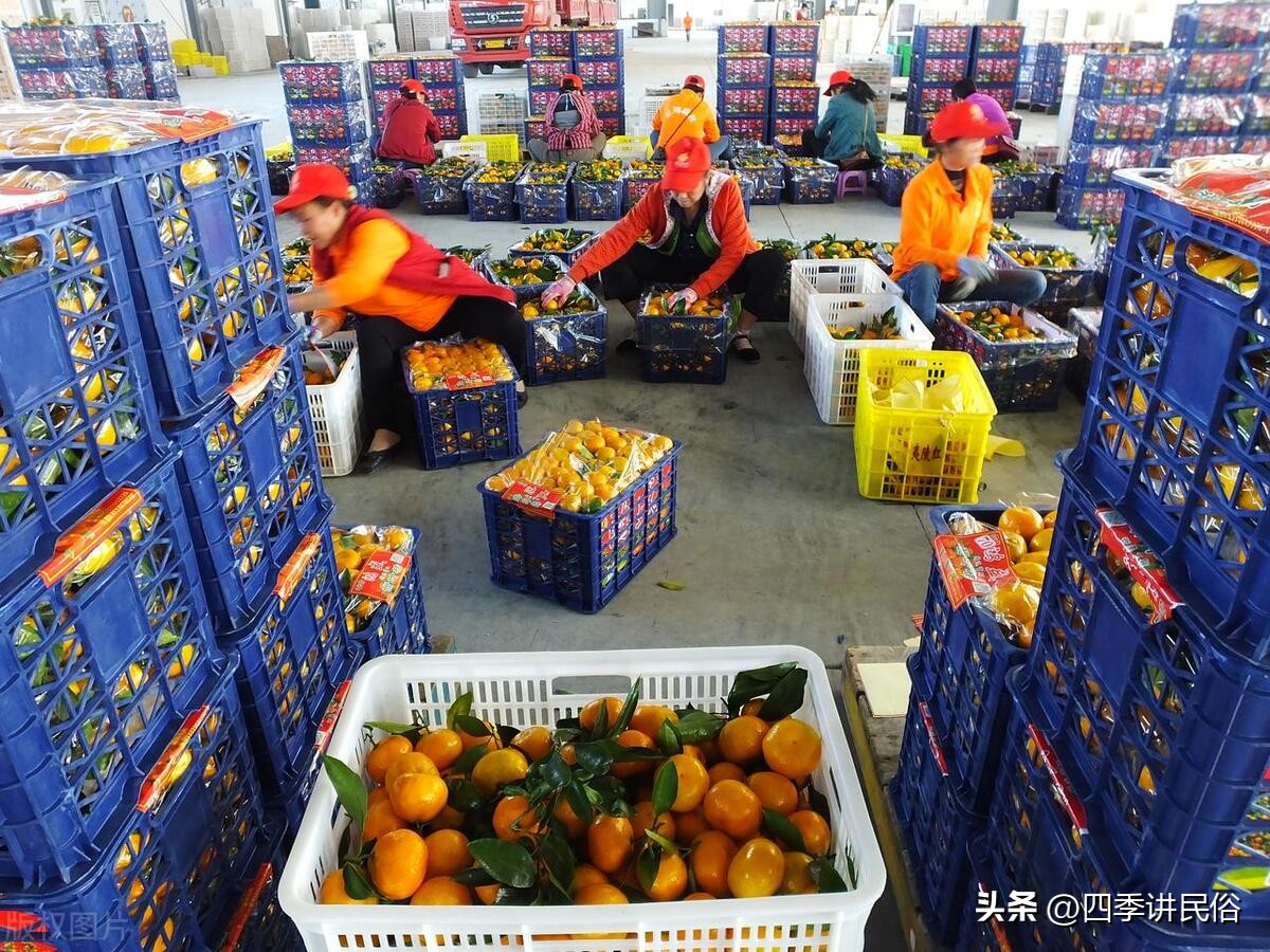 下半年农村最火爆的生意,农村有哪些不起眼的生意可以做