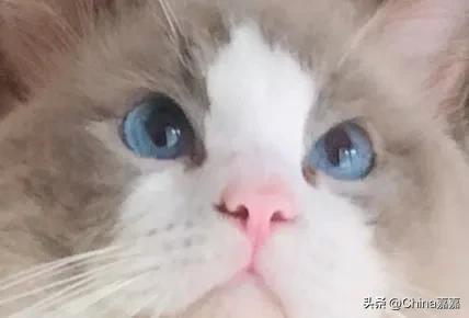 这个才能治愈你的不开心