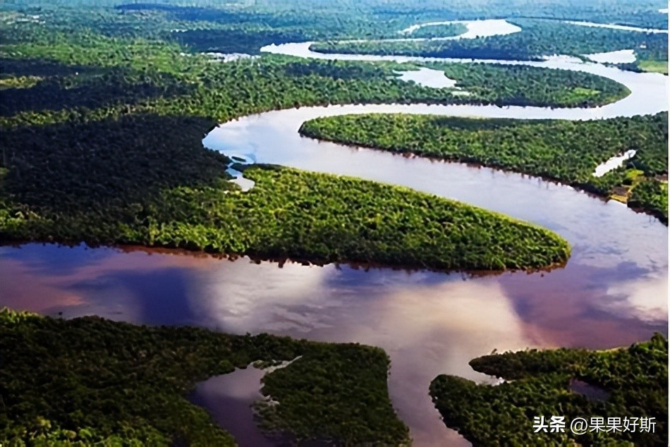 巴西五星历程,回顾巴西足球的这十年