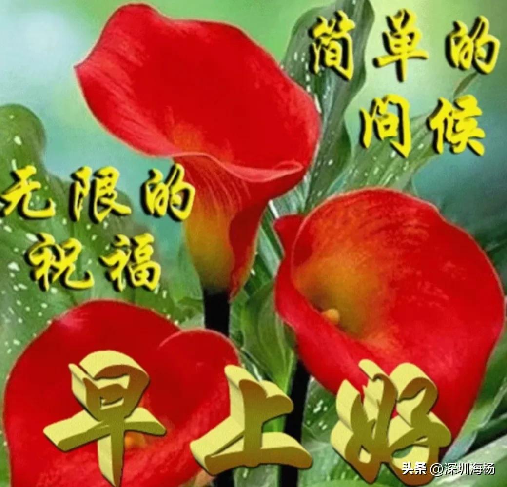 不能做一只在家躺平的猪,那就当一头生产队的驴吧