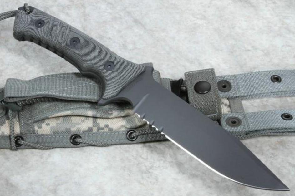 如果在野外遇到森蚺怎么办,亚马逊森蚺真的能生吞活人吗