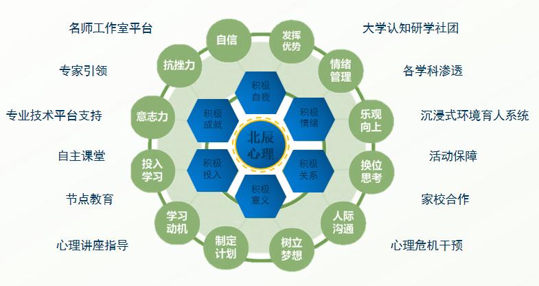 中小学心理健康教育的探索与实践,学校心理健康教育的组织与实施