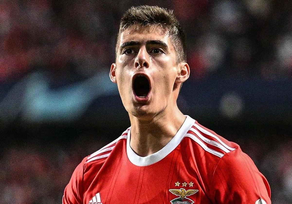 娆ф床浜斿ぇ鑱旇禌鏂版槦浜曞柗,浜曞柗