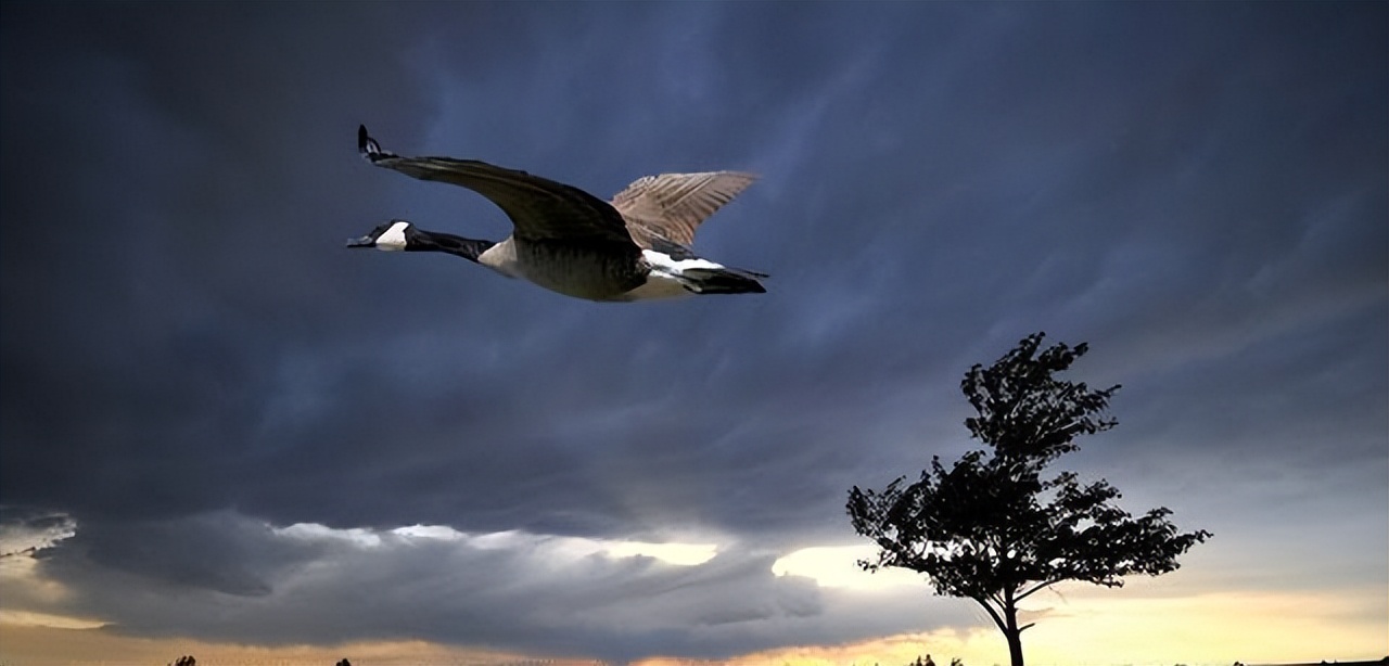 书信的雅称和别称,古人书信的雅称或别称