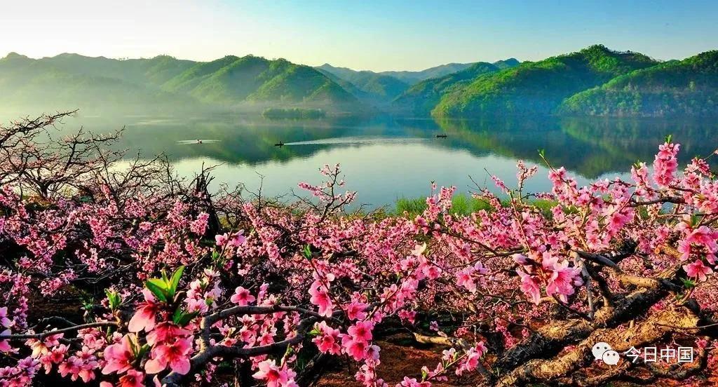 【丹东印象.三美】所以,丹东是辽宁最“温暖湿润”城市?