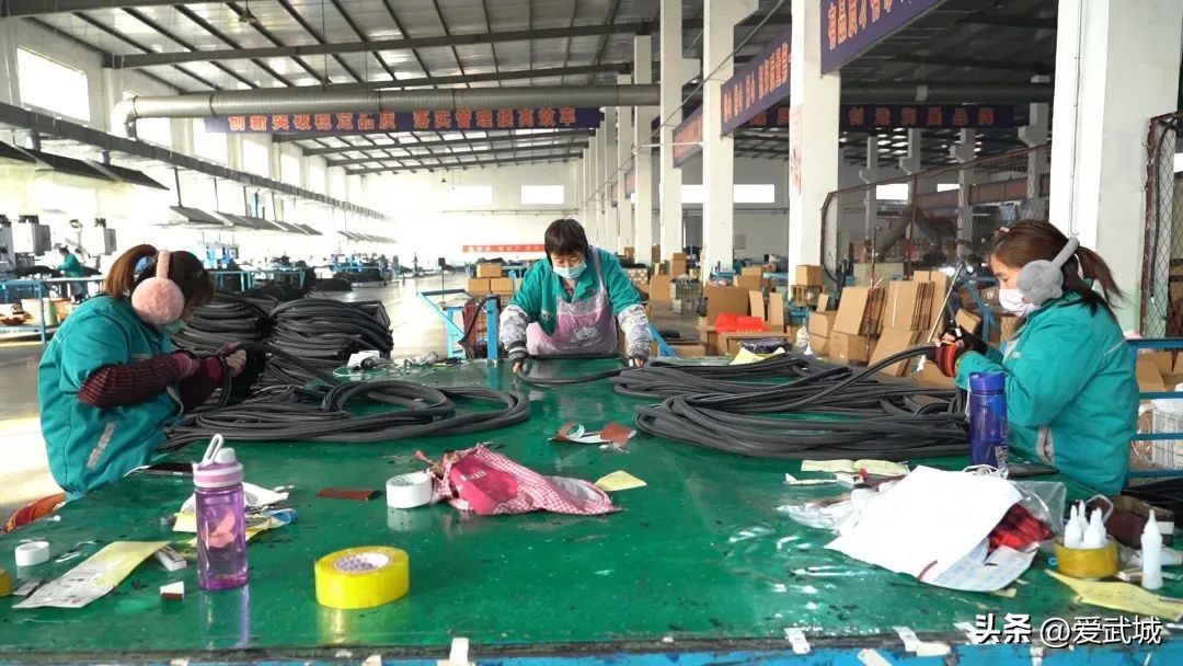 打好全年“收*战官**”！武城这样做……