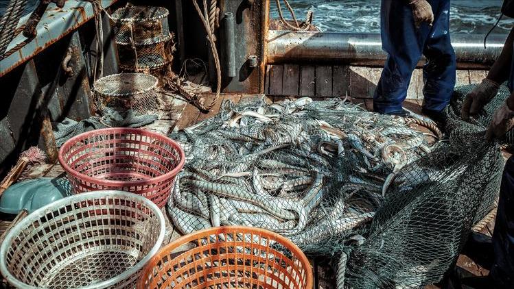 黄岩岛地理位置在哪里？它有多大面积？为何之前会被邻国所觊觎？