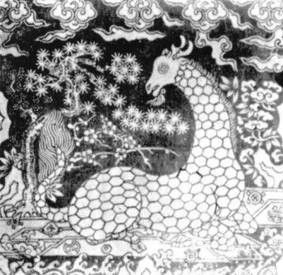 世界都有哪些神奇的动物??「坤舆全图」告诉你