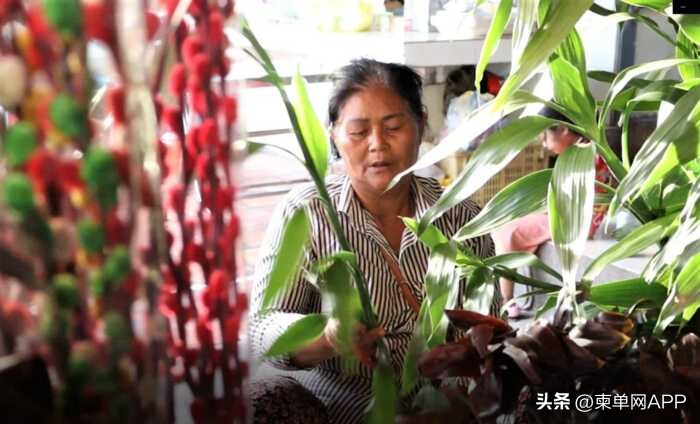 柬埔寨热销商品,柬埔寨绿植盆栽