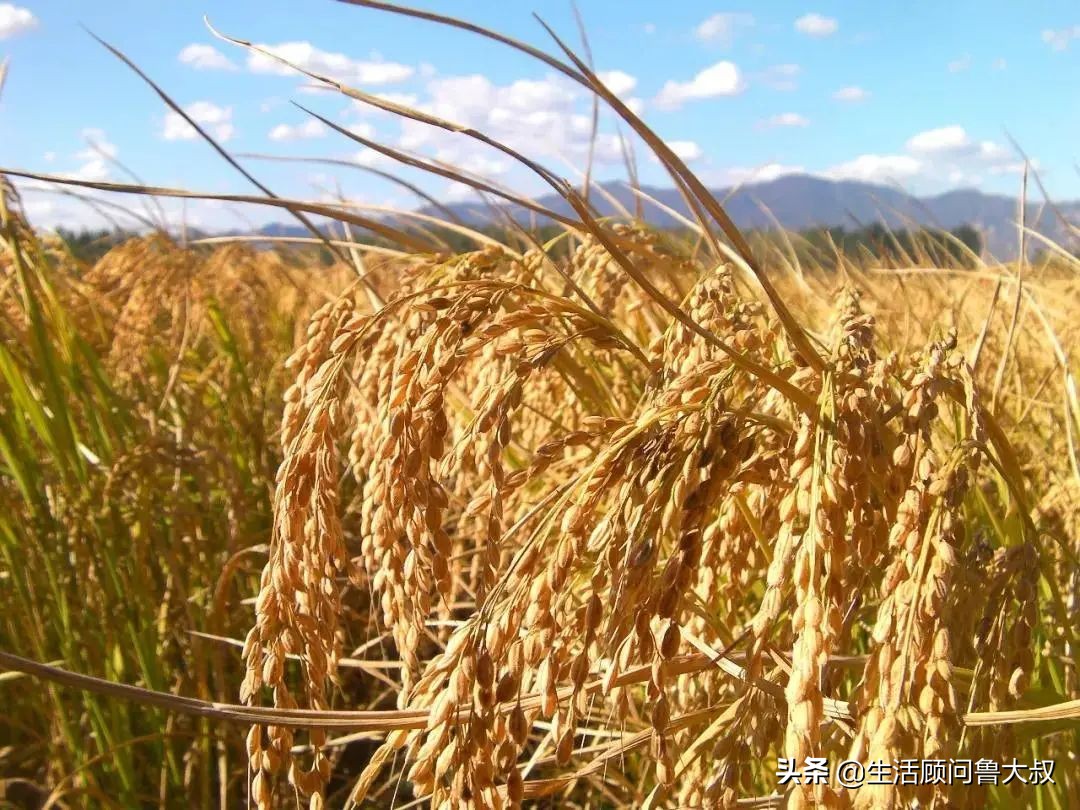 北京市的世界文化遗产有哪些,首批农业文化遗产