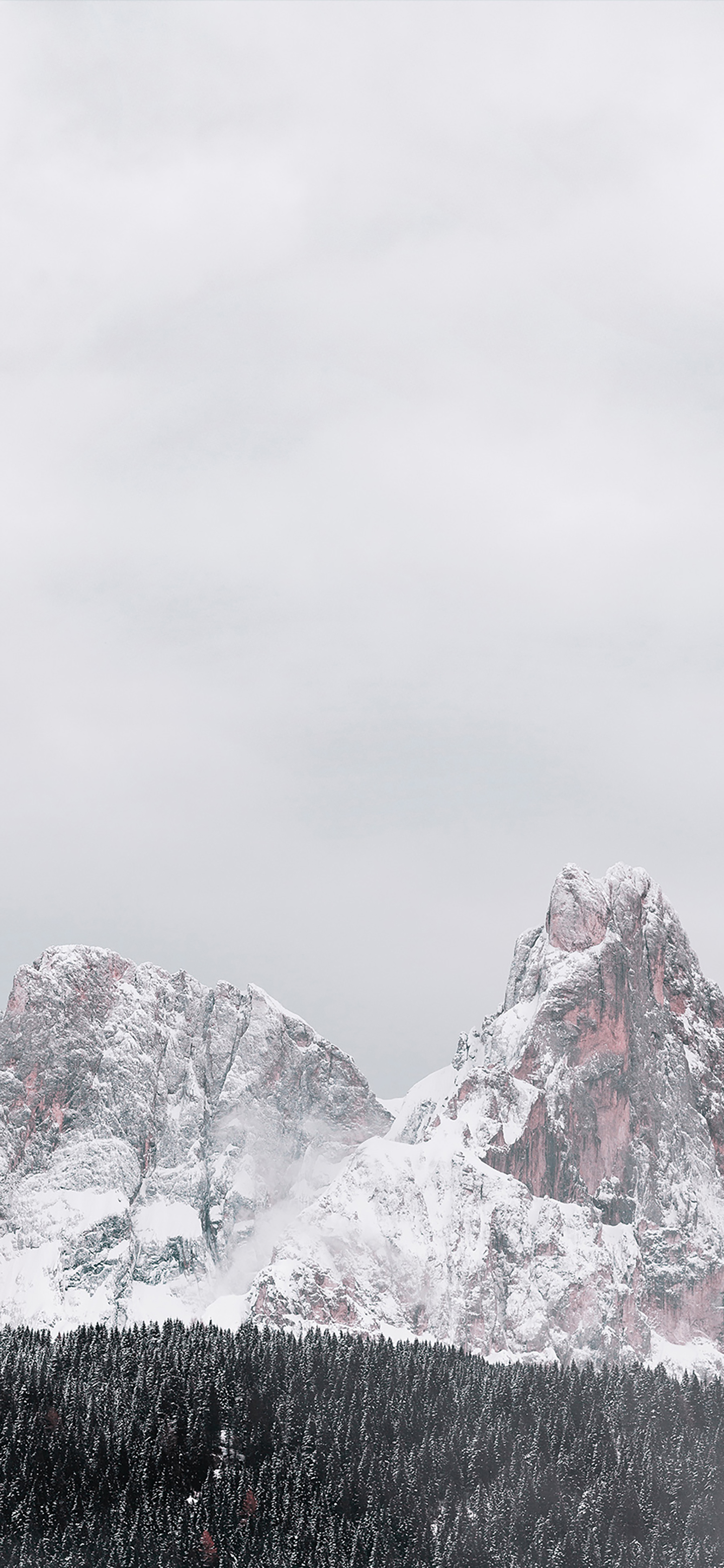 风景壁纸春,春天有百花秋有凉风冬有雪壁纸