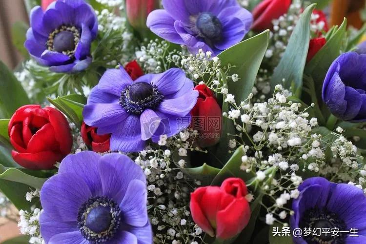 我经历的供销社变迁,我在七零供销社上班