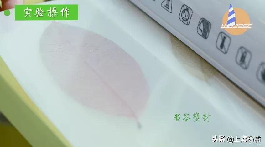 动手做一枚“叶脉书签”吧，好看又实用！【春节宅家手工】