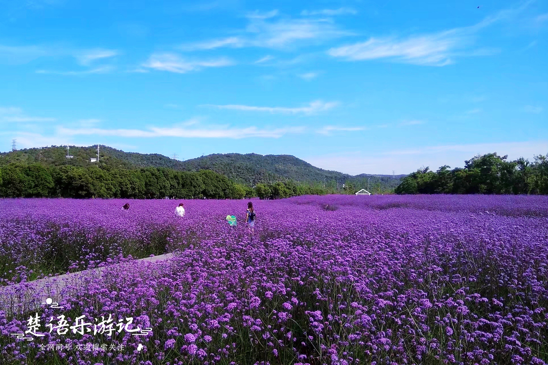 宁波这个网红景点不仅有花海，原来还是露营胜地，湖光山色美如画