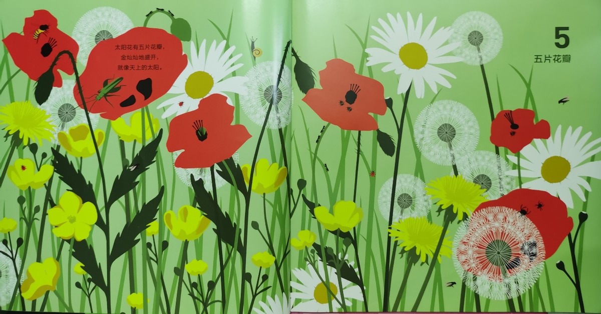 绘本和我一起数星星,儿童绘本推荐3-6岁星星主题