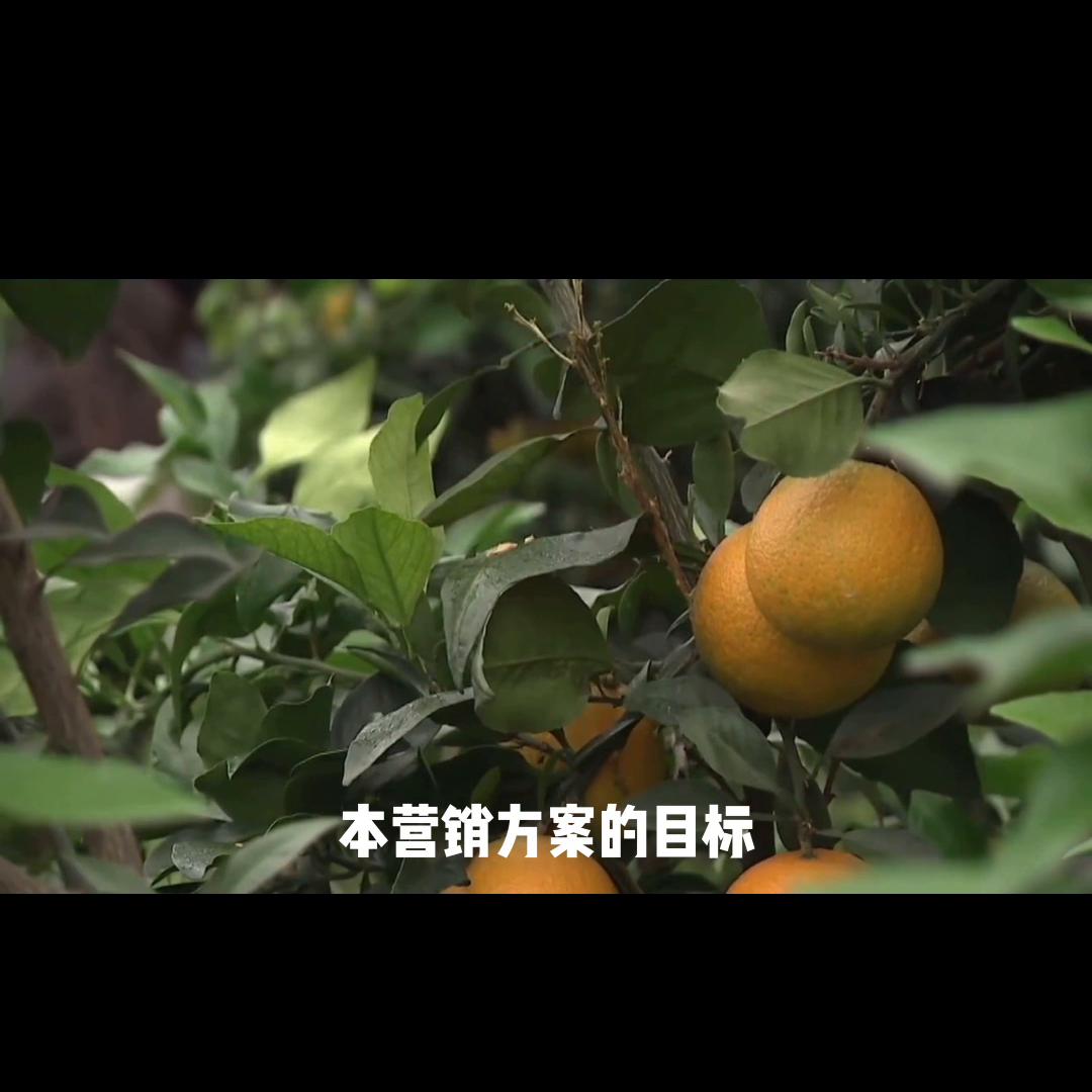 水果店会员卡营销方案,水果店充值营销方案100例