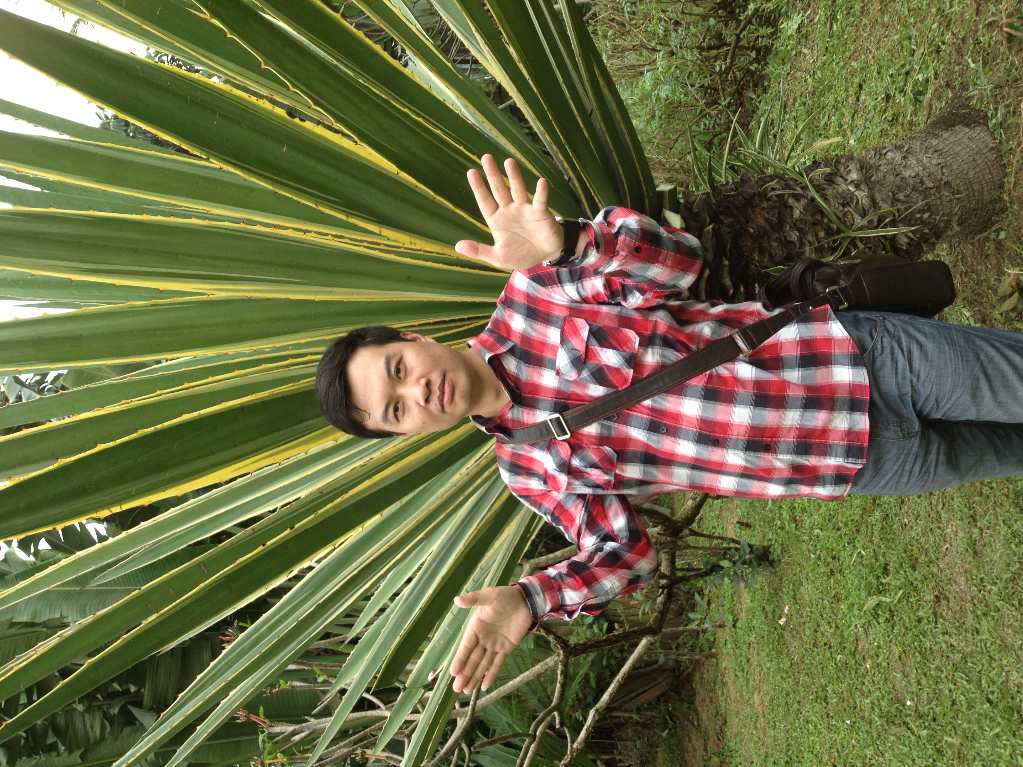 娄义华简介,娄义华照片