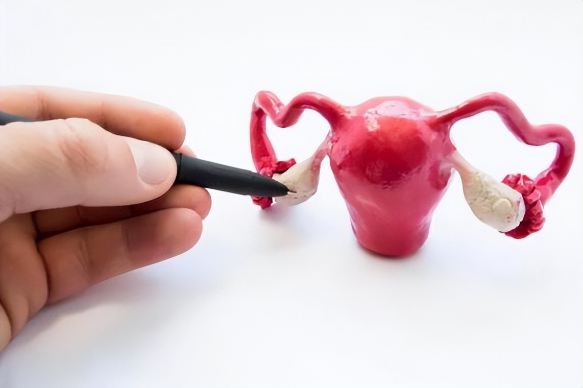 女性绝经后,并非没有好处,医生:这4种“病”,或会慢慢远离你