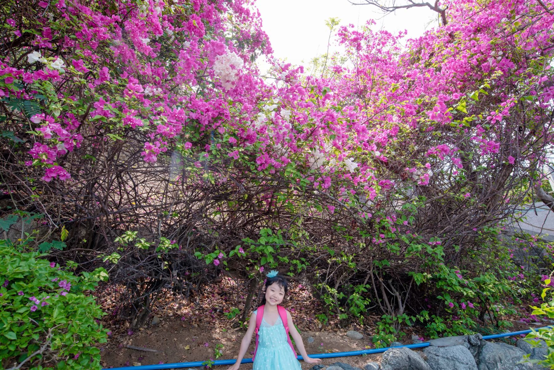 三亚和泰国哪个更适合旅游,三亚旅游和泰国旅游花费差多少钱