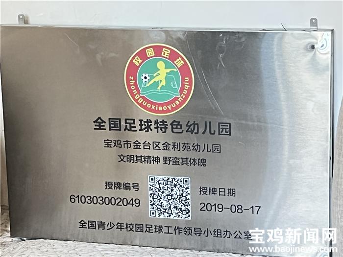 宝鸡市校园足球联赛,宝鸡市高新区校园足球联赛