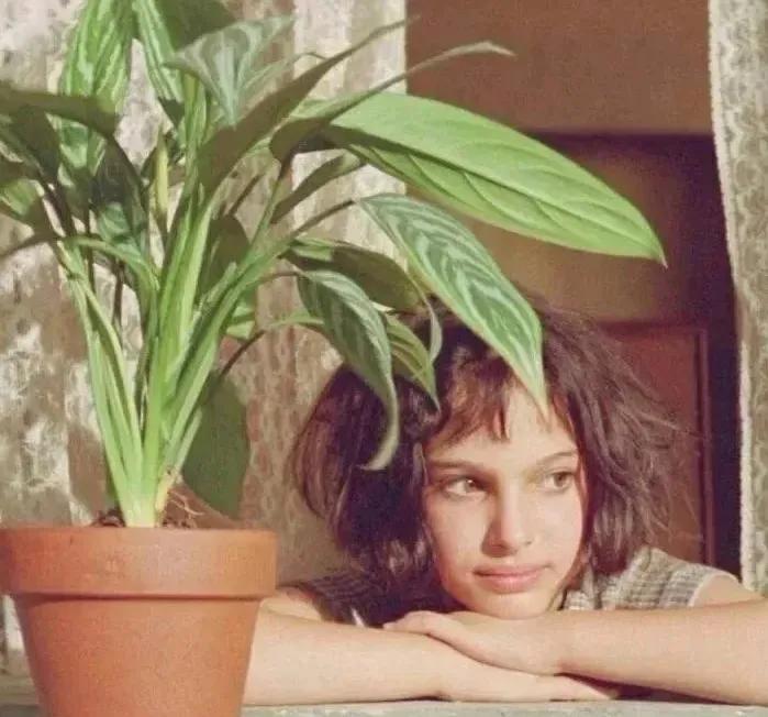 怎么劝一个容貌焦虑的人不要整容,整容出现医疗事故怎么办